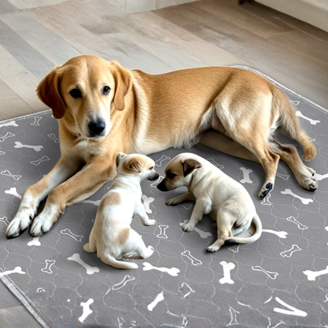 Pawvera CleanPad™